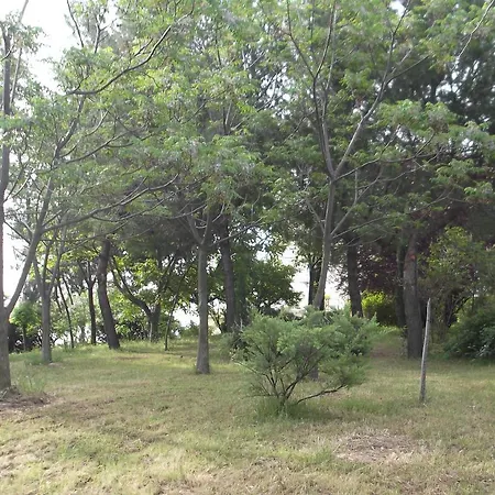 Costa Dei Trabocchi Apartman Vasto