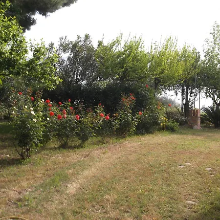 Costa Dei Trabocchi *