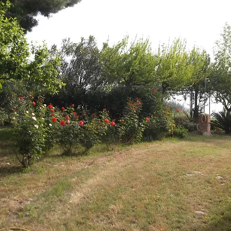 Costa Dei Trabocchi *