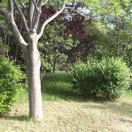 Apartman Costa Dei Trabocchi Vasto